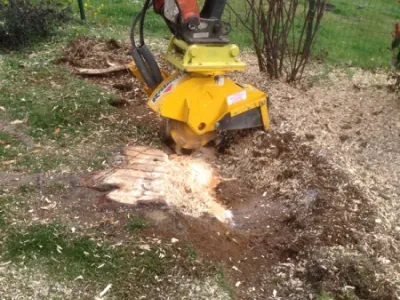 Rogneuse en action pour broyage de souche d’arbre dans un jardin