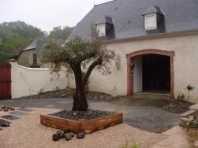 Patio en cours d’aménagement avec olivier central et structuration des espaces