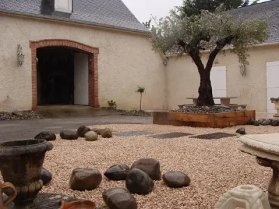 Patio aménagé avec olivier central, gravier décoratif et pierres naturelles
