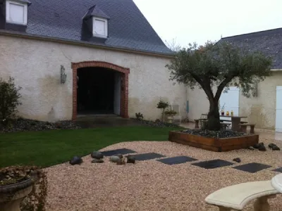 Vue d’ensemble du patio aménagé autour d’un olivier dans une cour rénovée