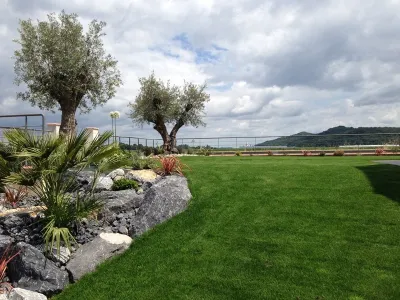 Jardin paysager avec pelouse naturelle, massif minéral et oliviers dans un aménagement extérieur contemporain