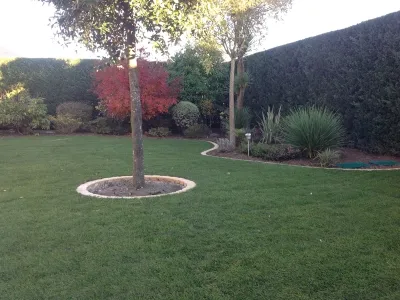 Rénovation complète de jardin avec pelouse, bordures décoratives et arbre central