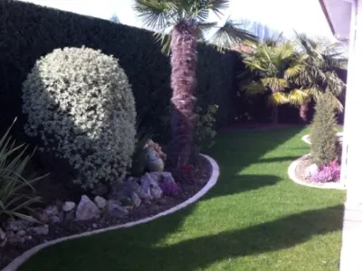 Jardin rénové avec palmiers, arbustes taillés et allée engazonnée
