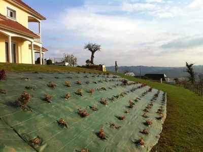 Plantation de végétaux sur talus avec géotextile pour aménagement paysager durable