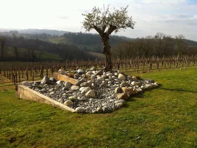 Aménagement décoratif avec massif minéral et arbre central dans un jardin paysager
