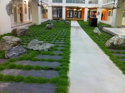 Jardin d’intérieur contemporain avec dalles, végétation et roches naturelles dans un établissement scolaire