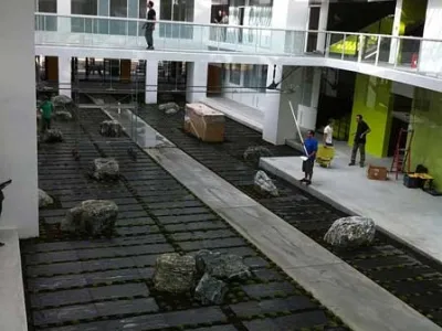 Vue d’ensemble du jardin d’intérieur en cours de réalisation dans un bâtiment scolaire