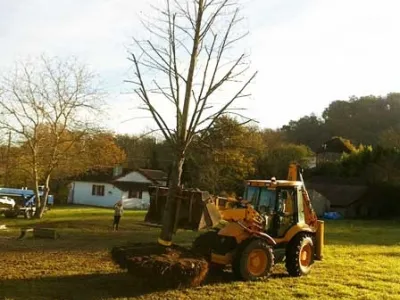 Extraction d’arbre avec engin de chantier lors de travaux d’élagage et de défrichage