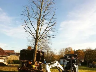 Enlèvement d’arbre déraciné et évacuation du tronc dans le cadre d’un aménagement extérieur