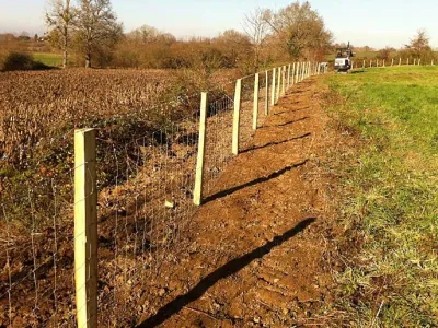 Clôture grillagée avec poteaux bois alignés en zone agricole, aménagement de limite de parcelle