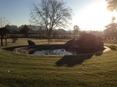 Bassin de jardin avec rochers et eau en fin de journée, ambiance naturelle