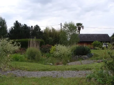 Vue d’ensemble du bassin naturel avant travaux de rénovation paysagère