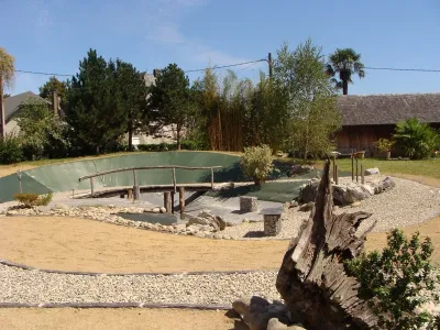 Vue d’ensemble du bassin naturel rénové avec intégration paysagère et passerelle bois